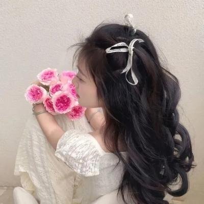妙探双龙
